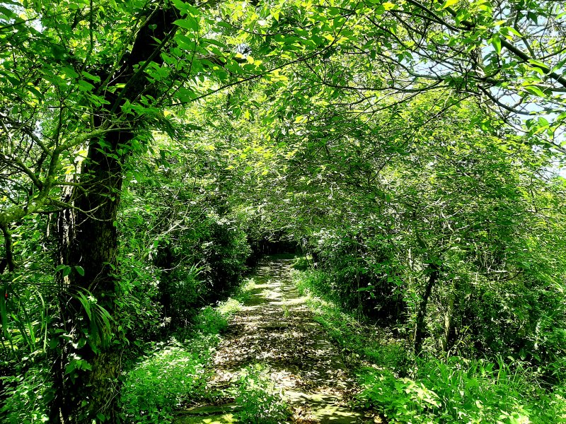 3da48cf32b2375207333a2b79d93e126.jpg