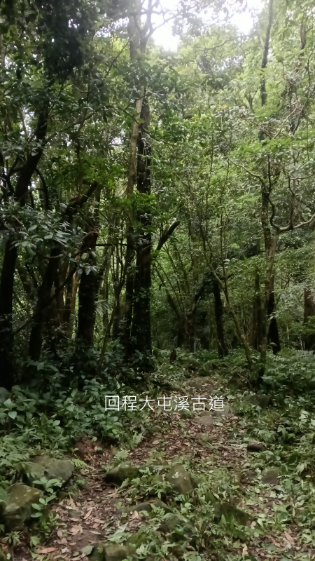 3e0961224a754fcae51964794b3de5a8.png