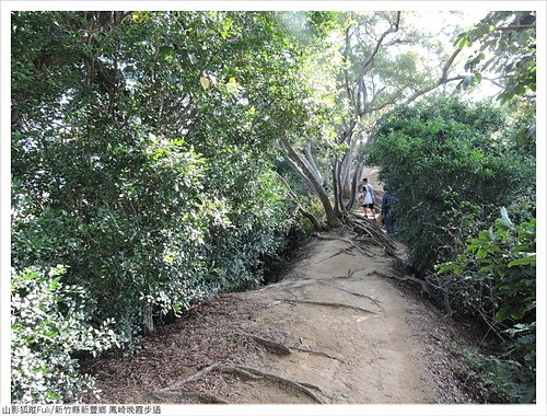 鳳崎落日步道 (91).JPG - 鳳崎晚霞步道