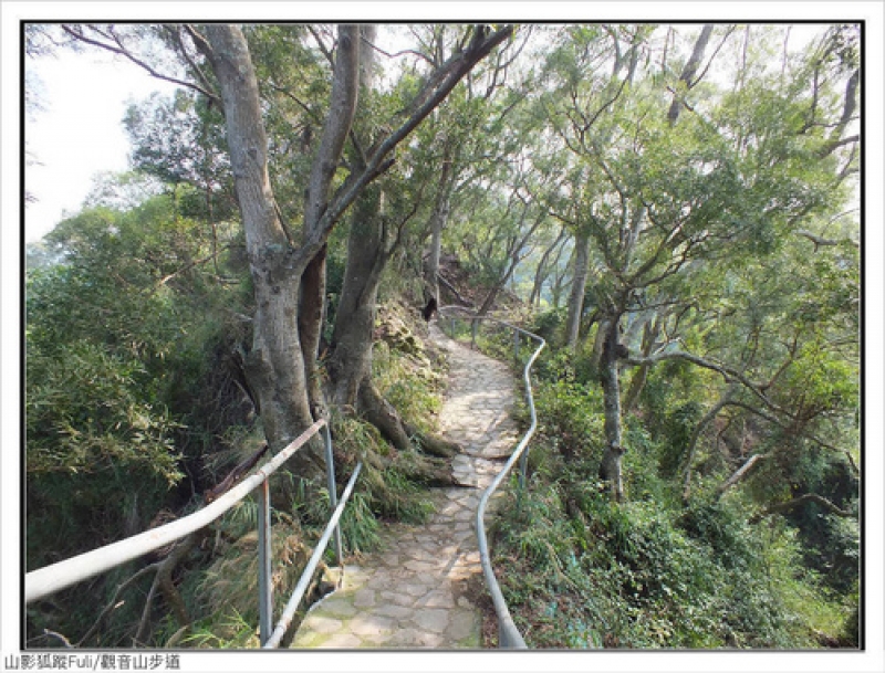 觀音山步道 (27).jpg - 觀音山步道