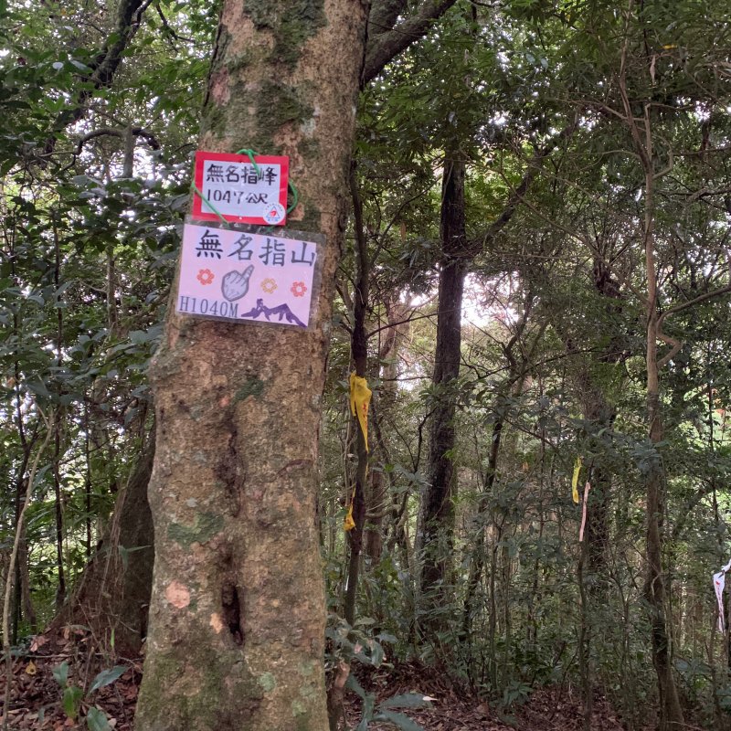 五指山登山步道 步道狀況回報 2023-09-30 15:26 - 健行筆記