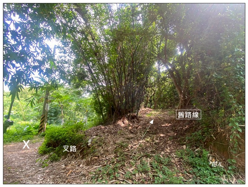 3f28035be214c54cd462b82ee4029c9a.jpg