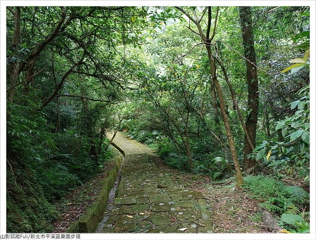 藥園步道 (21).jpg - 藥園步道