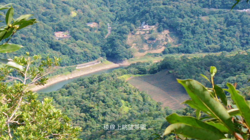 3fd4f45162b04f5d572eca8b60d0a365.png