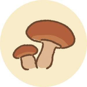 3fe1afcdfd28b4e4303a17d416a917c5.png