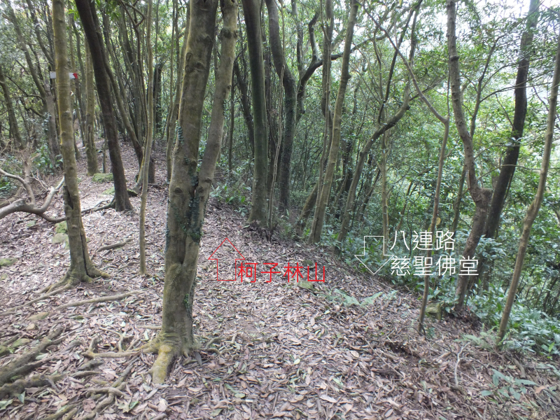 3fede7c7cfa48f81e65ef08ad80294ec.jpg