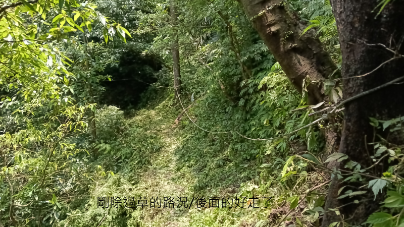 40c529a29f34a1f6fa209cf212e1ff1f.png
