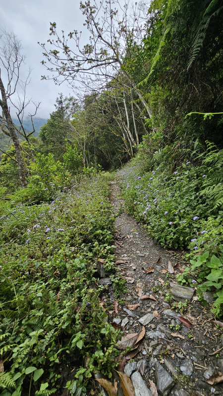 41c174daeabdc4e65b425e565bf0f725.jpg