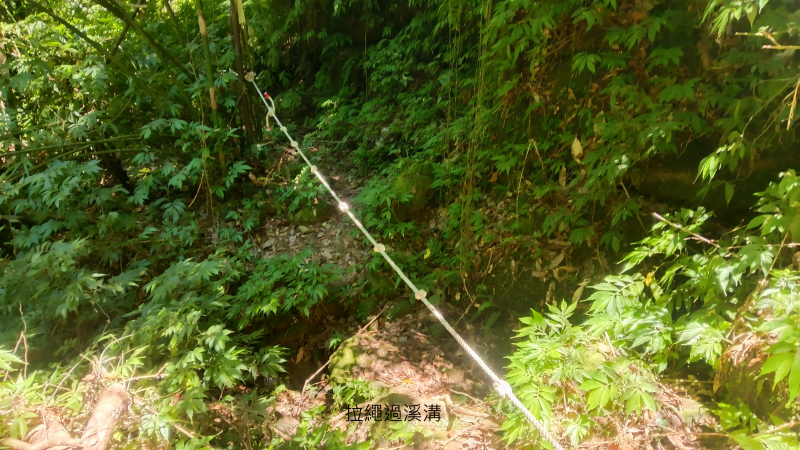 41ca20a32525a9c12d5425b50428de3b.png