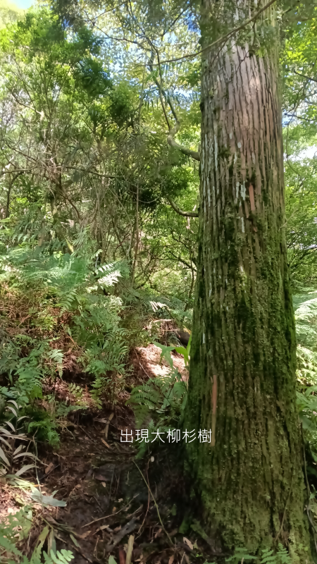 425d06cbb14770c1889dffbb930b100b.png