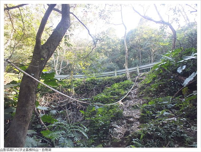 橫科山白匏湖 (154).JPG - 橫科山、白匏湖