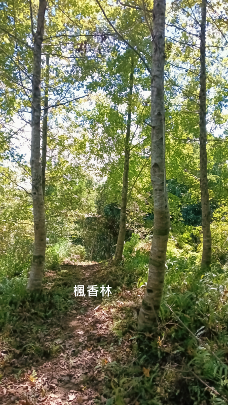 434c3e28de365cea177865f720afa720.png
