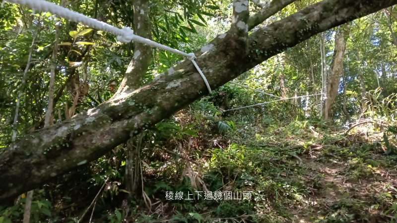 4359b94480cd36b891d78252842d2a59.png