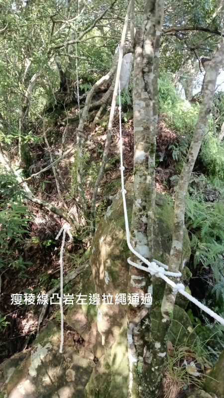 43e325cc23be5f6499586a55014f5d48.png