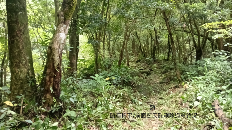 448a28d817eeb3c0cb9815f40a972dd1.png