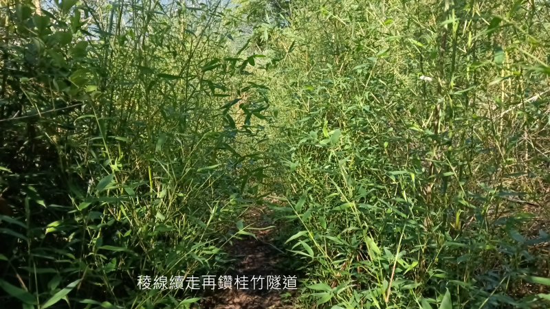 448cdc7eacd1b279b0d5df4845779975.png