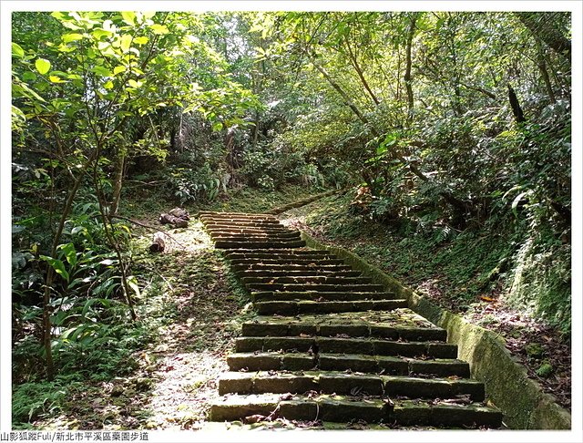 藥園步道 (49).jpg - 藥園步道