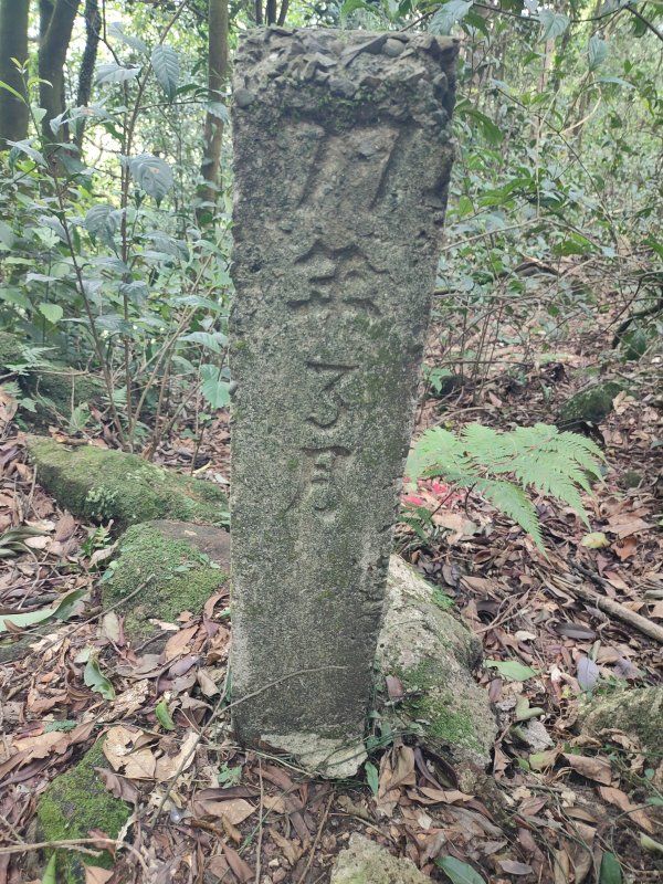 44ab765460630c06f94d54263508f416.jpg