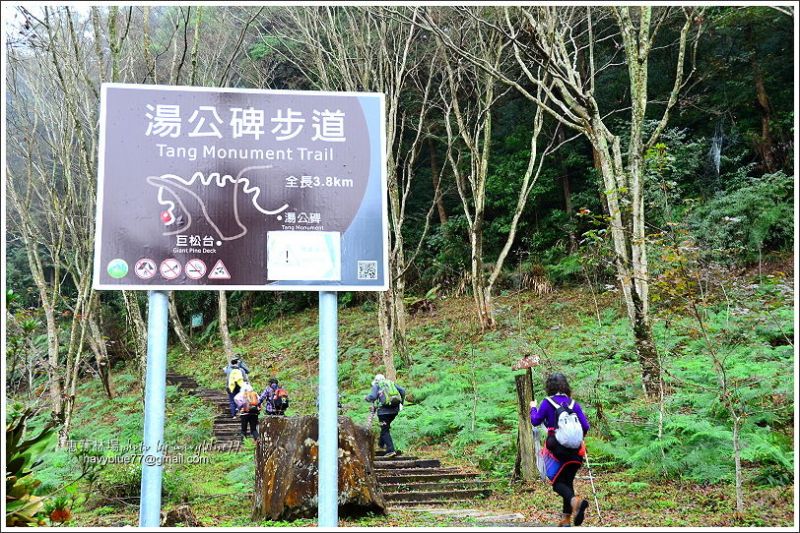 惠蓀林場環場森林步道O形19.JPG