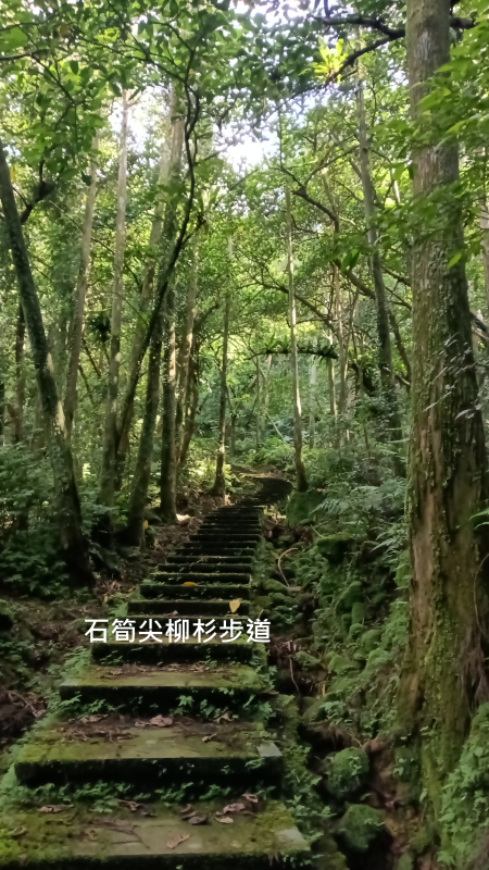 4545208c6c8d05e45ad3b31d00ecde71.png