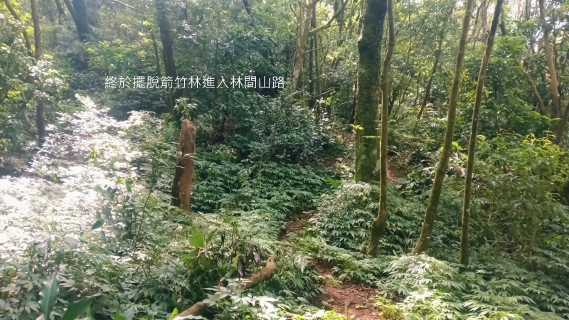 45c3cb38ef2fdb61335445bca25e72a1.png