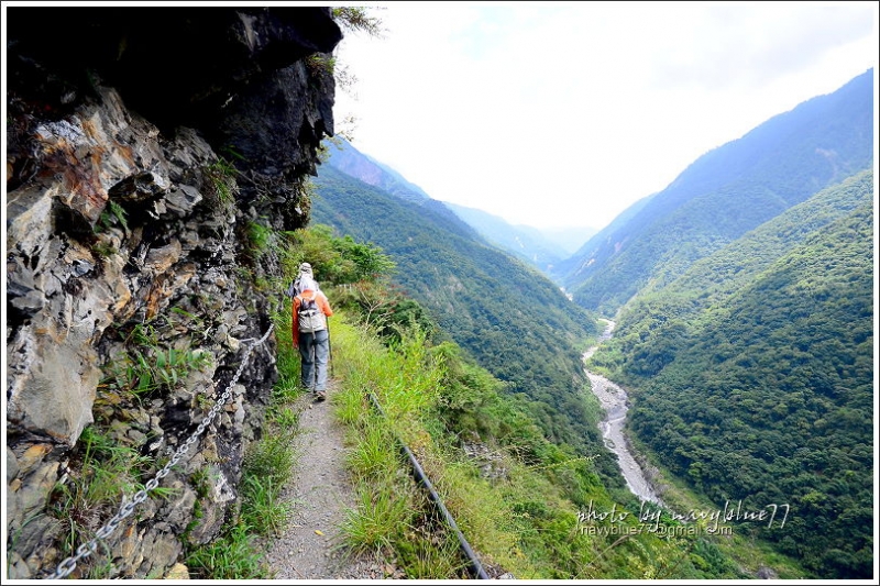 八通關越嶺道(東埔-雲龍段)38.JPG