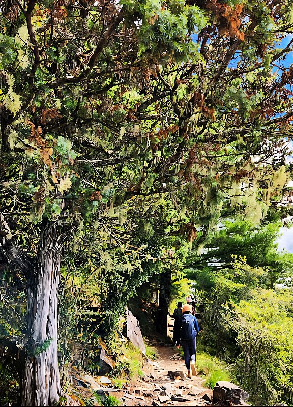 464974fc1589ebfb033d347be25bae55.jpg