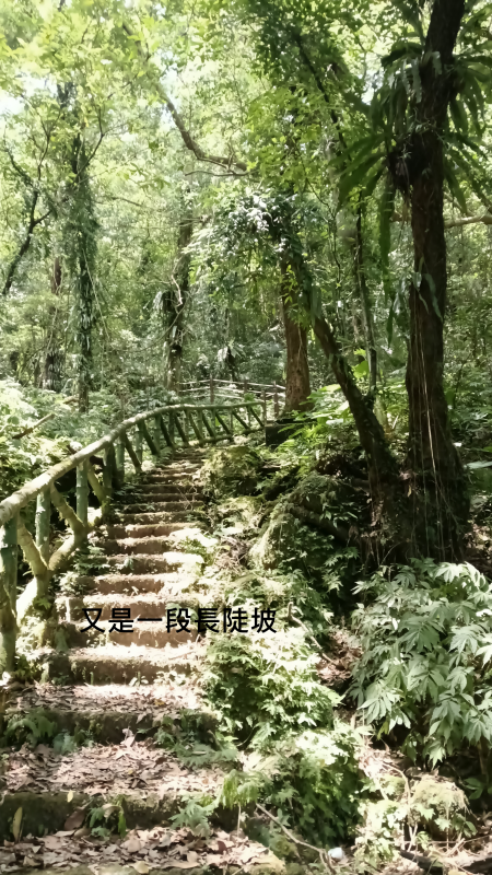 468804e24e938978ae3abd124e90d0c1.png