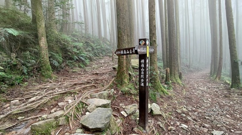 沙蓮山橫嶺山 (92).jpg