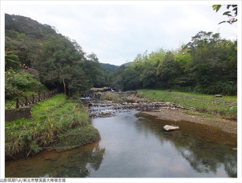 大樟嶺 (33).JPG - 大樟嶺