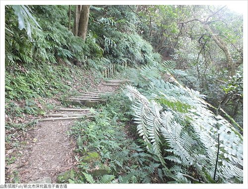 炮子崙古道 (69).JPG - 炮子崙古道