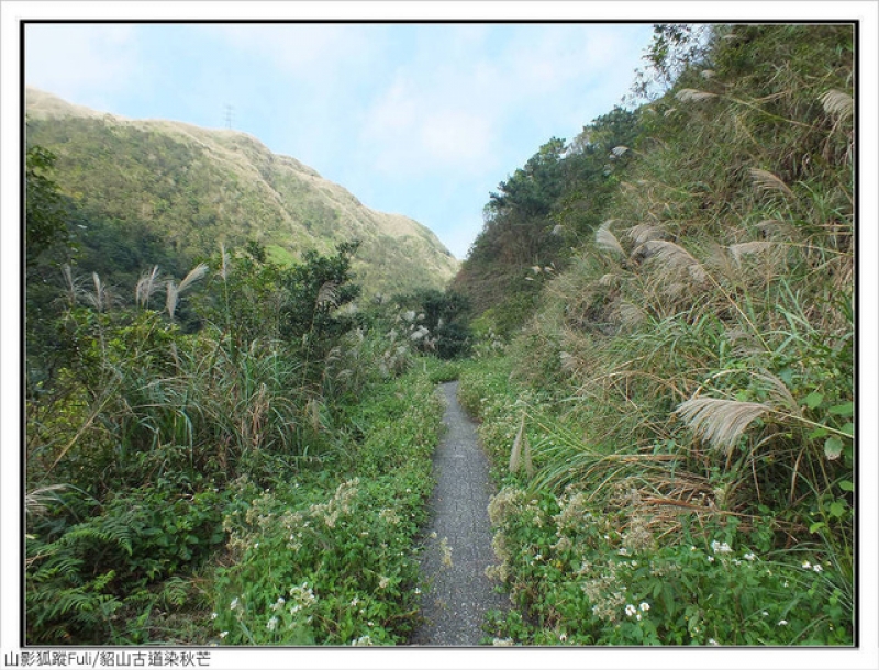 貂山古道 (18).jpg - 貂山古道