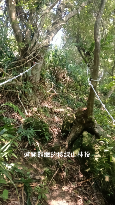 48abb023bc279f6e2c8147c8f1e6e92b.png