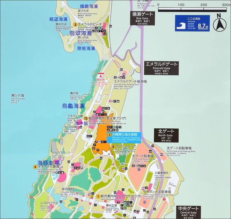 沖繩海洋博公園MAP.JPG