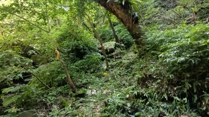 493b0cf3a61a96191f2525d04600ed47.png