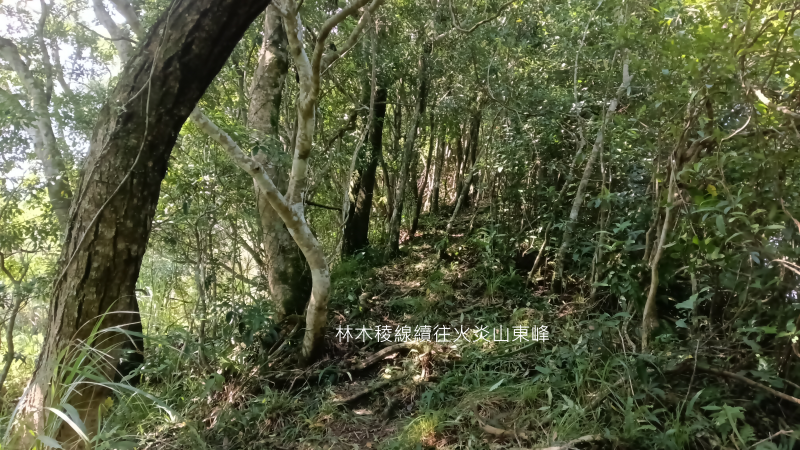 49c06376fcce1b13dd73d958b3c33e45.png
