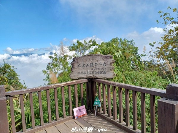 【嘉義。阿里山鄉】美景盡收。 小百岳集起來。 編號60小百岳-奮起湖大凍山