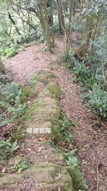 49fd49a46eb79e848fbdd06c917c01e6.png