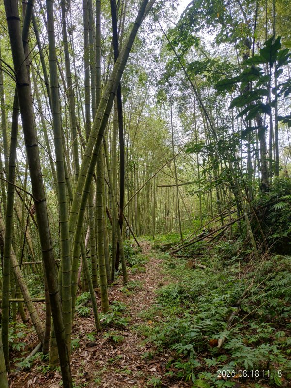 4a2c28ebdc8d514756a8528b1b4d2be2.jpg