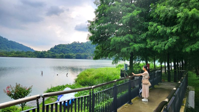 夏日新秘境，廣興河濱濕地公園，落雨松步道，項羽灘，燕子湖，梅花湖，濛濛湖