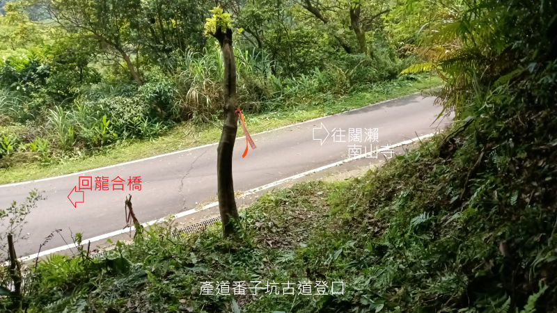 4a4482ae1b1d545f8340a7539f3c6a44.png
