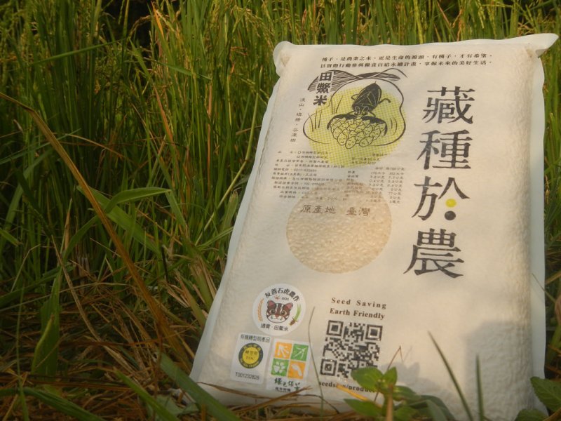 田鱉米。圖片來源：觀察家生態顧問有限公司