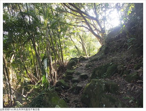 炮子崙古道 (23).JPG - 炮子崙古道