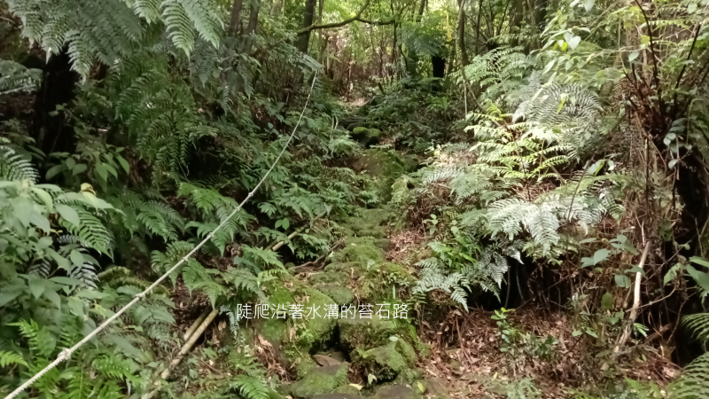 4ad13c18764012030823662cc82ab804.png