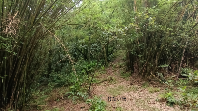 4b1c9de02d5c5c21c397562f754c8c44.png