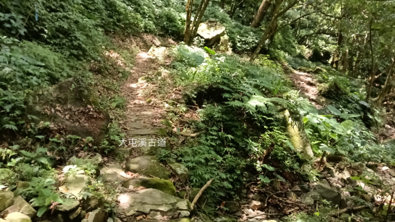 4b8292a2d756beb1643817e21c2b5aed.png