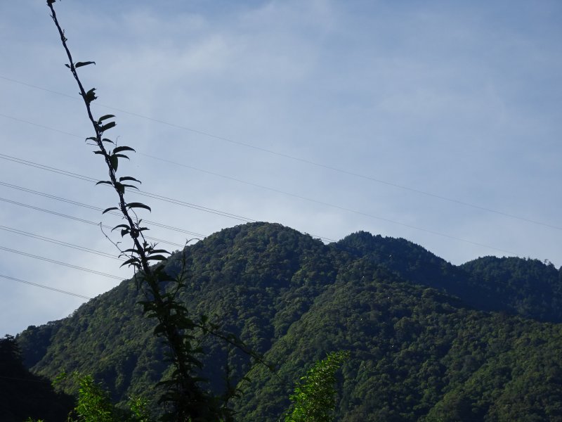 馬崙山