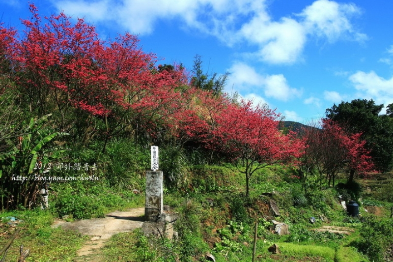 風尾步道