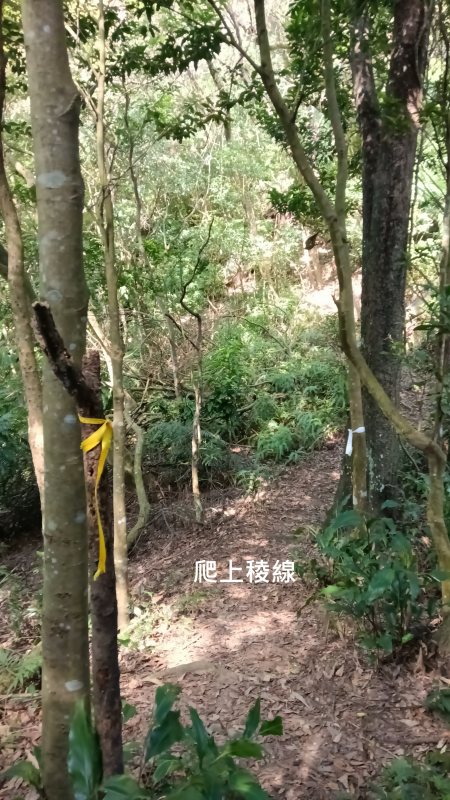 4c278031bcd4de552511765da7d3f258.png