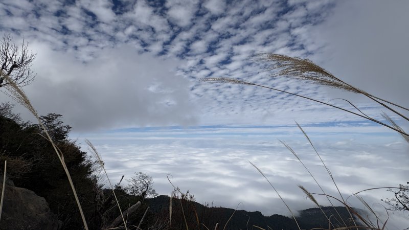 今年再也不爬囉（告別2025